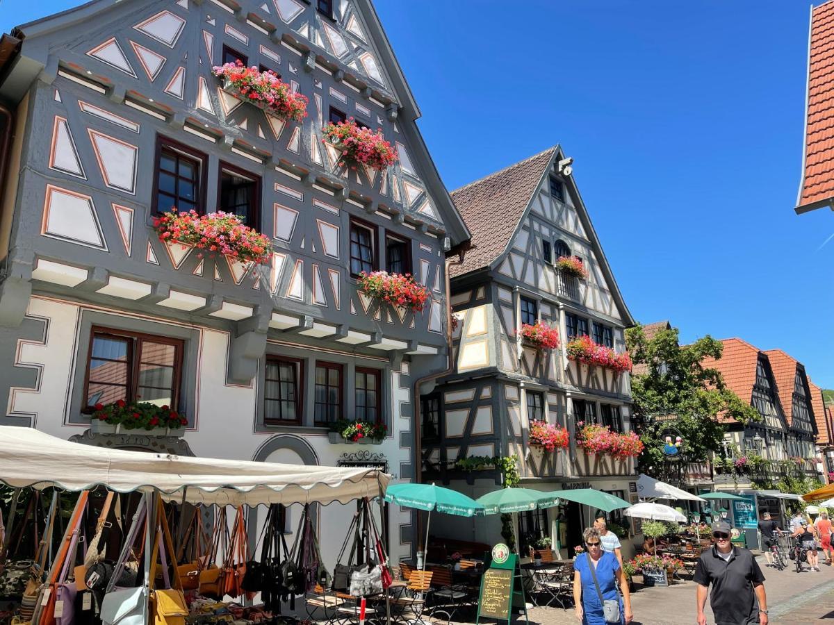 Gaestehaus Klingler เบอซิกไฮม์ ภายนอก รูปภาพ